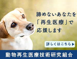 諦めないあなたを「再生医療」で応援します