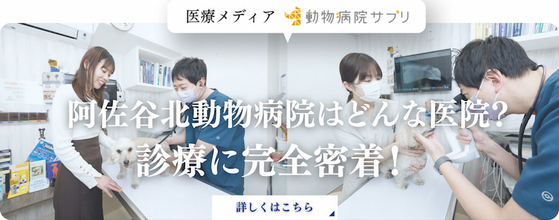 医療メディア 動物病院サプリ